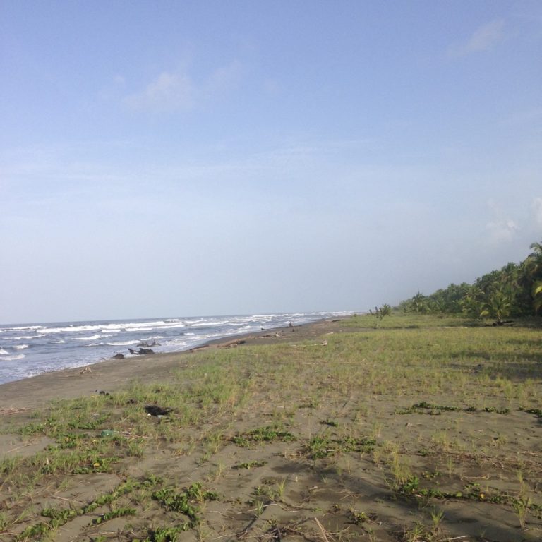 Activity holidays Cahuita beach