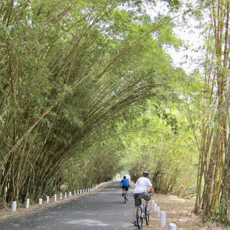 Activity holidays Cocle rural roads