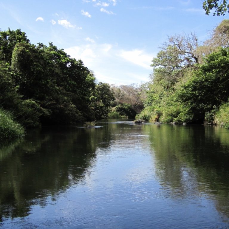 Tenorio River