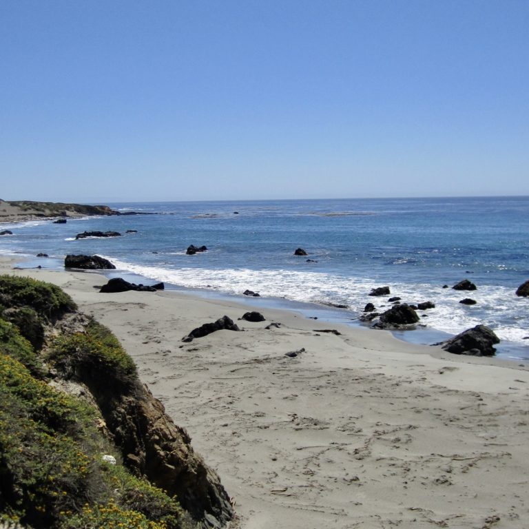 Pacific Coast Highway