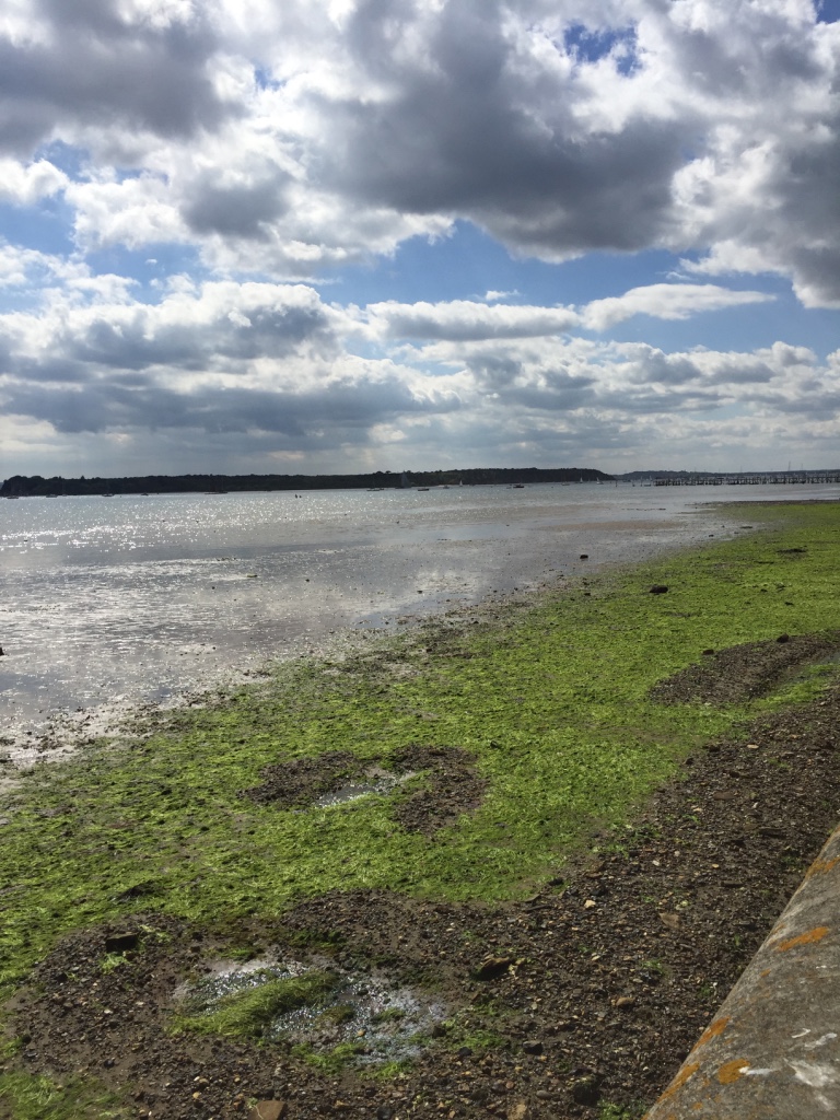 Rick Steins Sandbanks and Brownsea Island Ferry