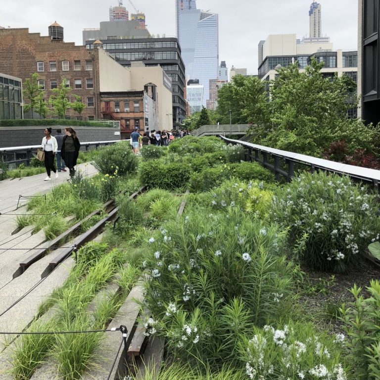 The High Line