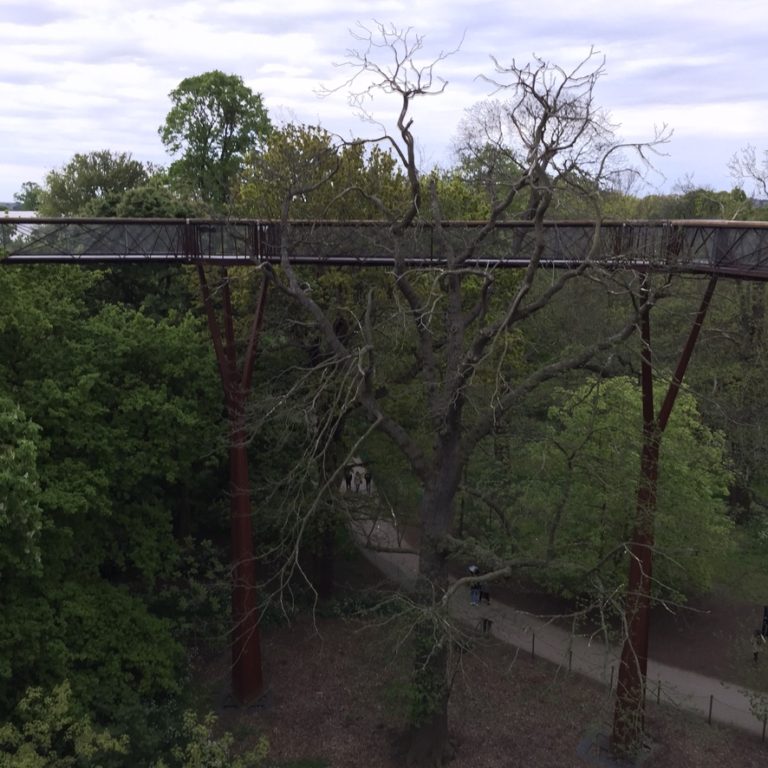 Treetop walkway