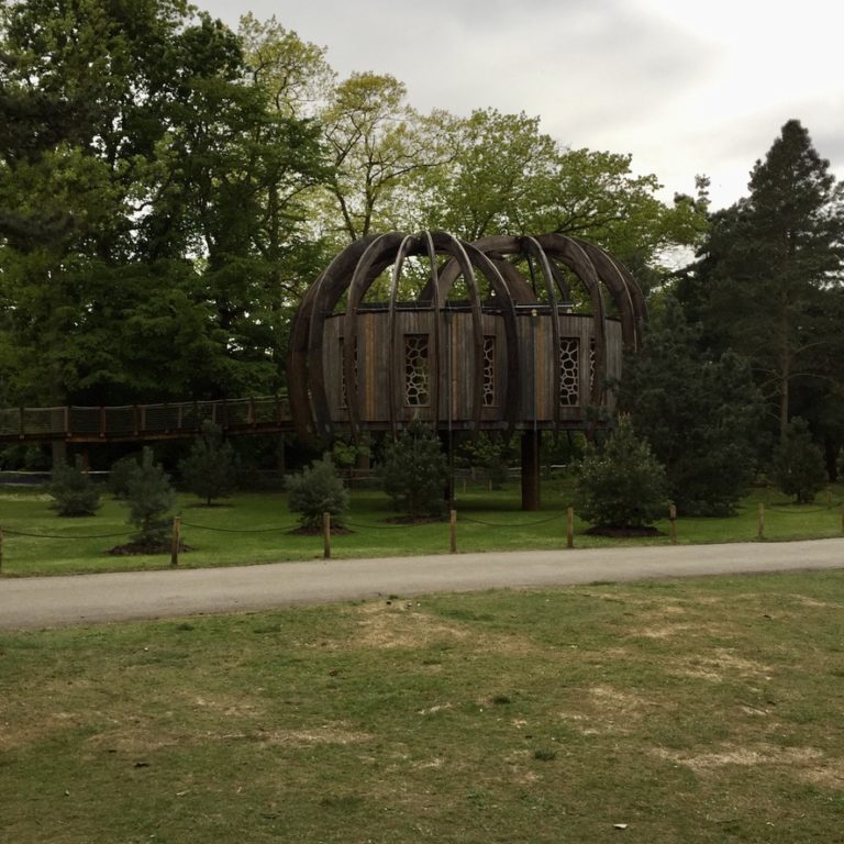 Treetop walkway