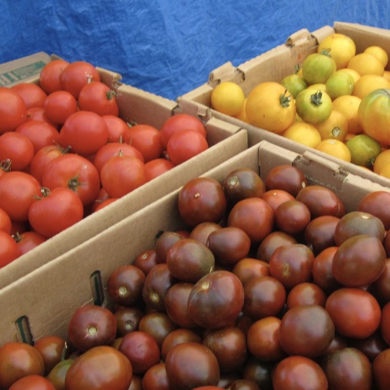 Ferry Plaza market