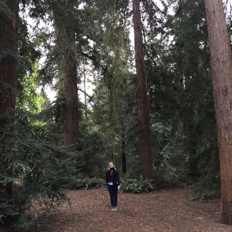 Redwood Grove, home to Redwood trees