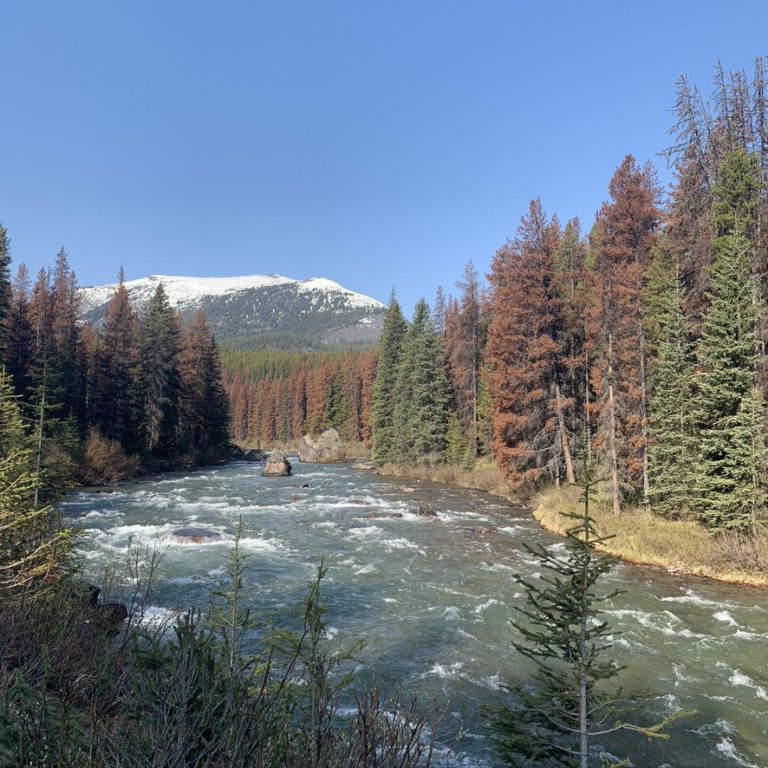 Jasper National Park