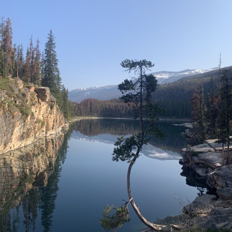 Near 16 1/2 Mile Lake, Jasper National Park