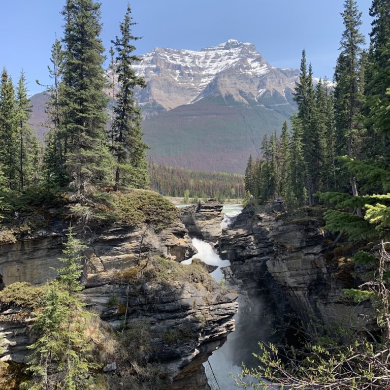 Athabasca River, Jasper National Park