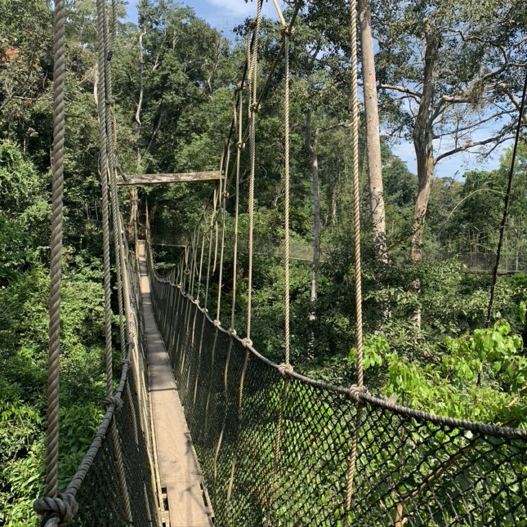 Ghana Kakum National Park