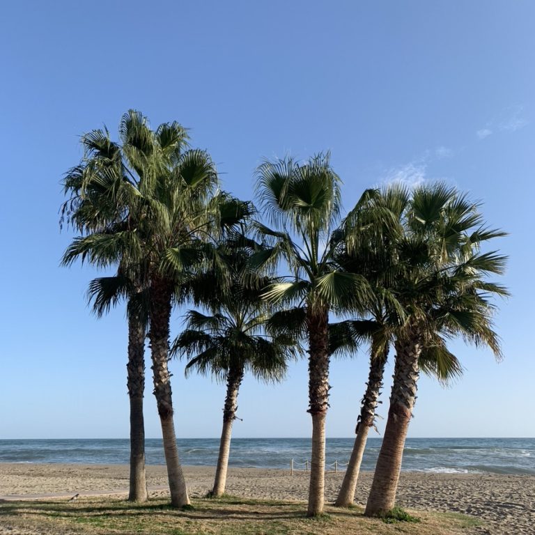 Cala De Mijas