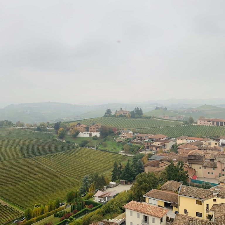 Barbaresco