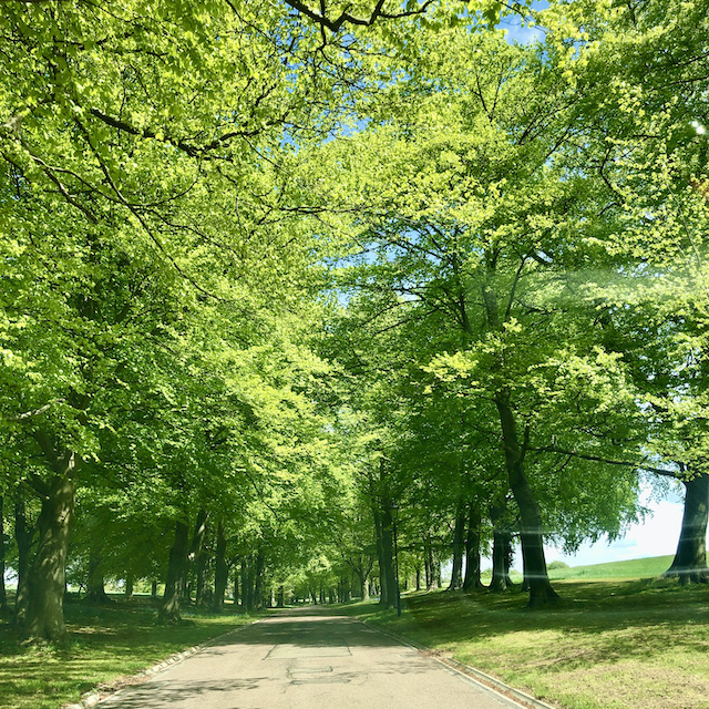 Luton Hoo Spa driveway